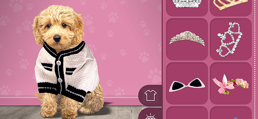 Animal kids dress up fun