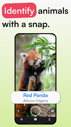 Animal Identifier - iSpecies
