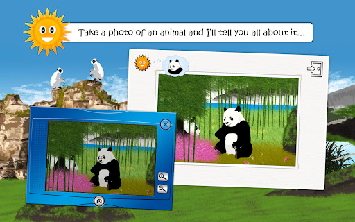 Wildlife & Farm Animals