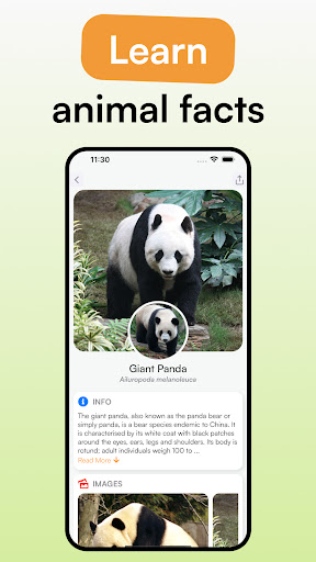 Animal Identifier - iSpecies
