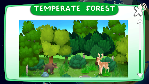 Forest Kids