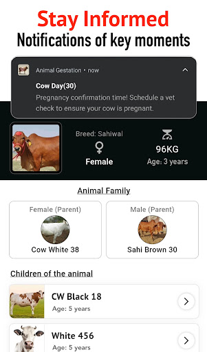 Animal Breeding, Birth Manager